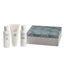 ESSENTIAL Reinigungs - Kit